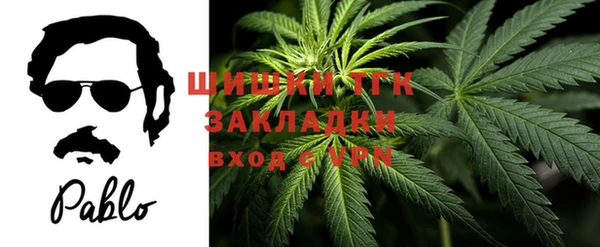 не бодяженный Заводоуковск