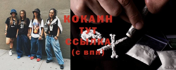 не бодяженный Заводоуковск