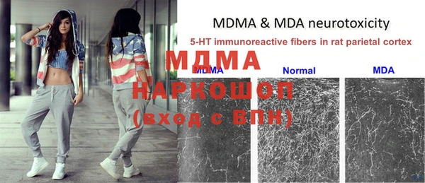ПСИЛОЦИБИНОВЫЕ ГРИБЫ Заволжье