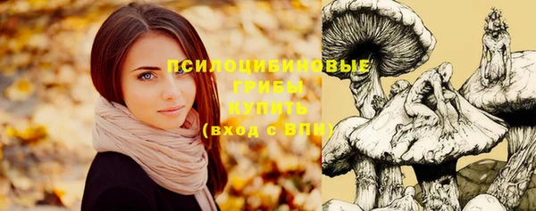 первитин Заволжск