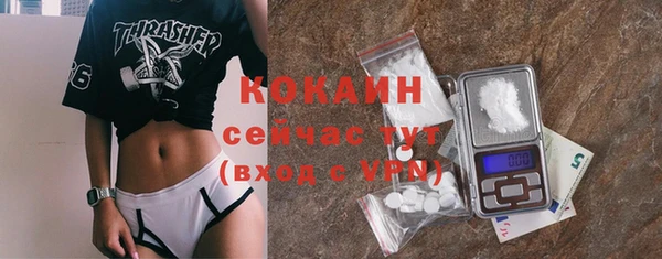 не бодяженный Заводоуковск