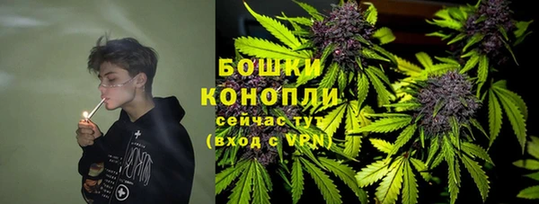 не бодяженный Заводоуковск
