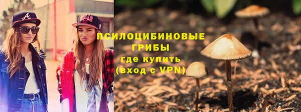 не бодяженный Заводоуковск