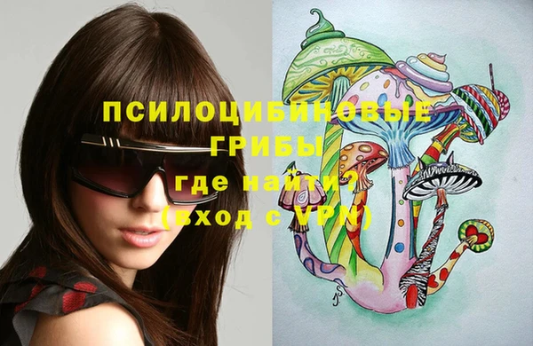 не бодяженный Заводоуковск