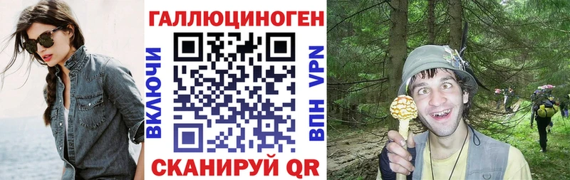 Галлюциногенные грибы Psilocybe  Дербент 